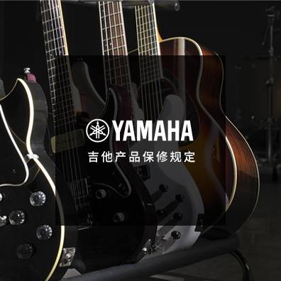 吉他、贝斯和音箱